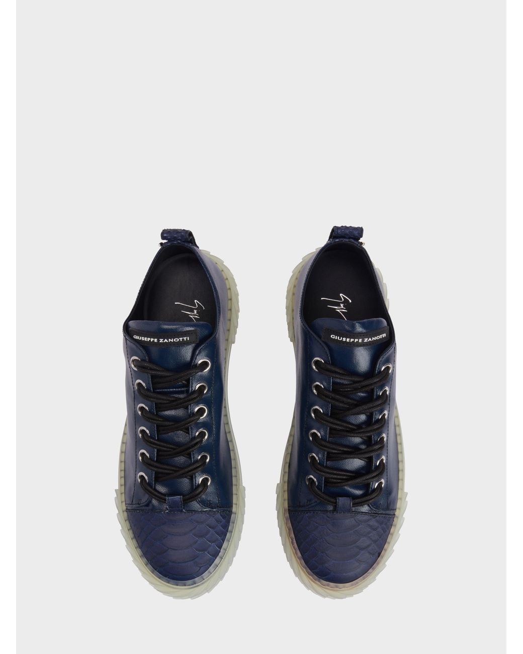 Giuseppe Zanotti Blue Blabber Low Top for men