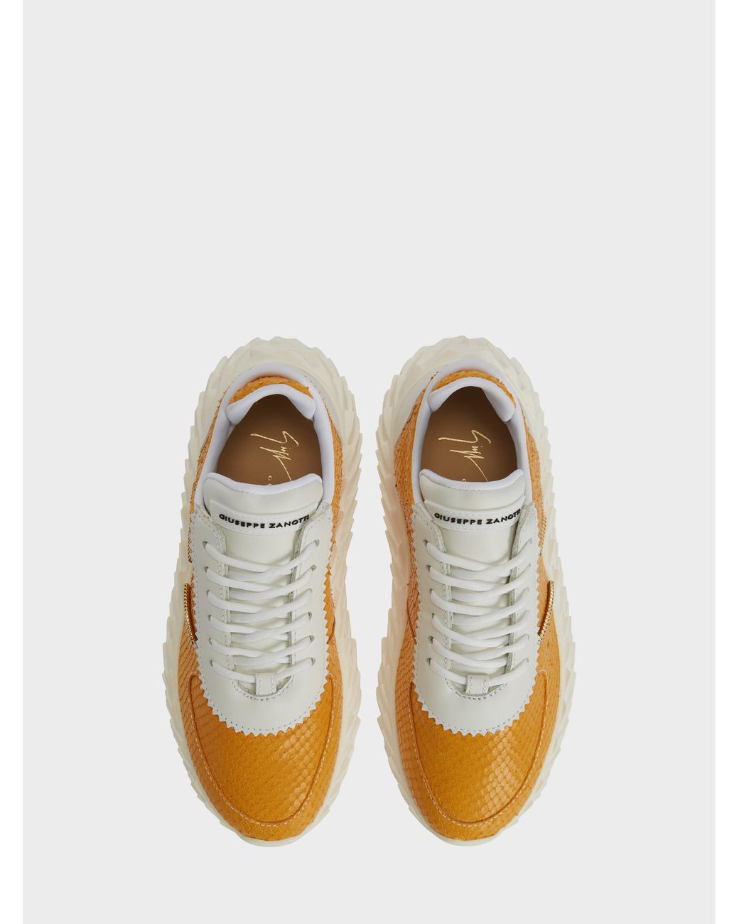 Giuseppe Zanotti Orange Urchin Low Top