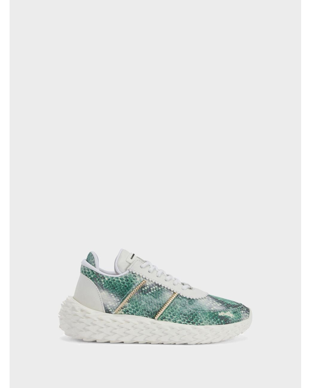 Giuseppe Zanotti Green Urchin Low Top