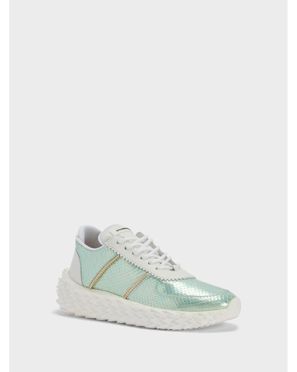 Giuseppe Zanotti Green Urchin Low Top