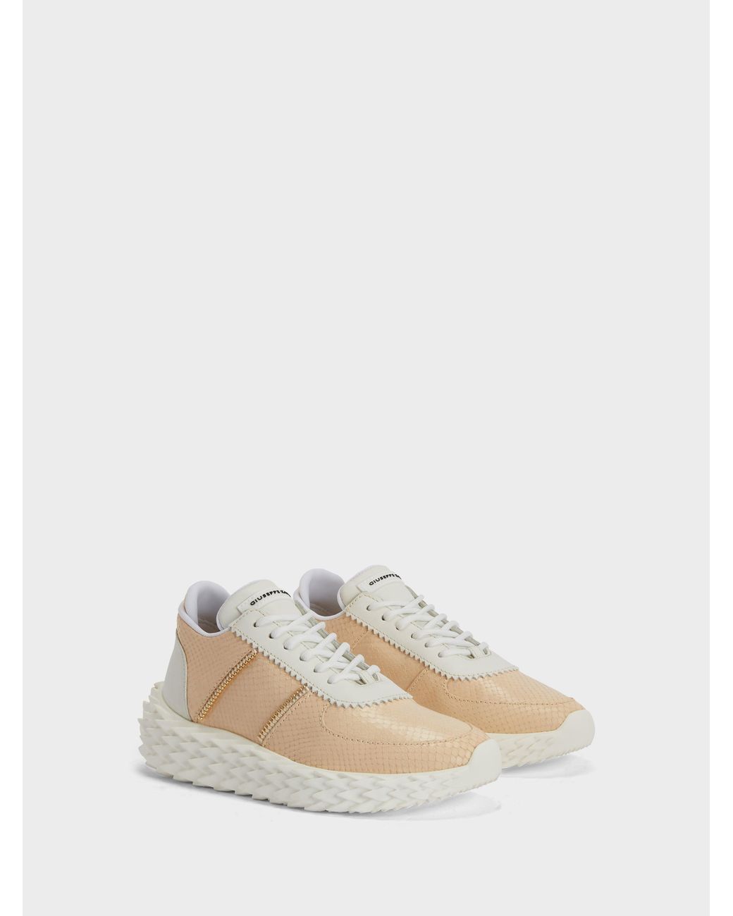 Giuseppe Zanotti Natural Urchin