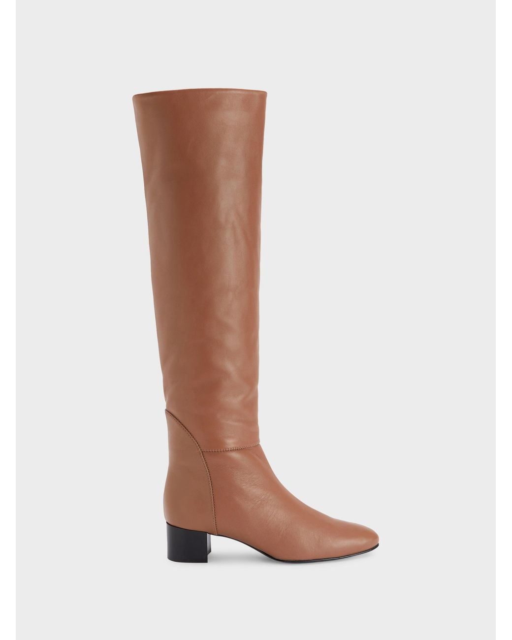 Giuseppe Zanotti Brown Clelia