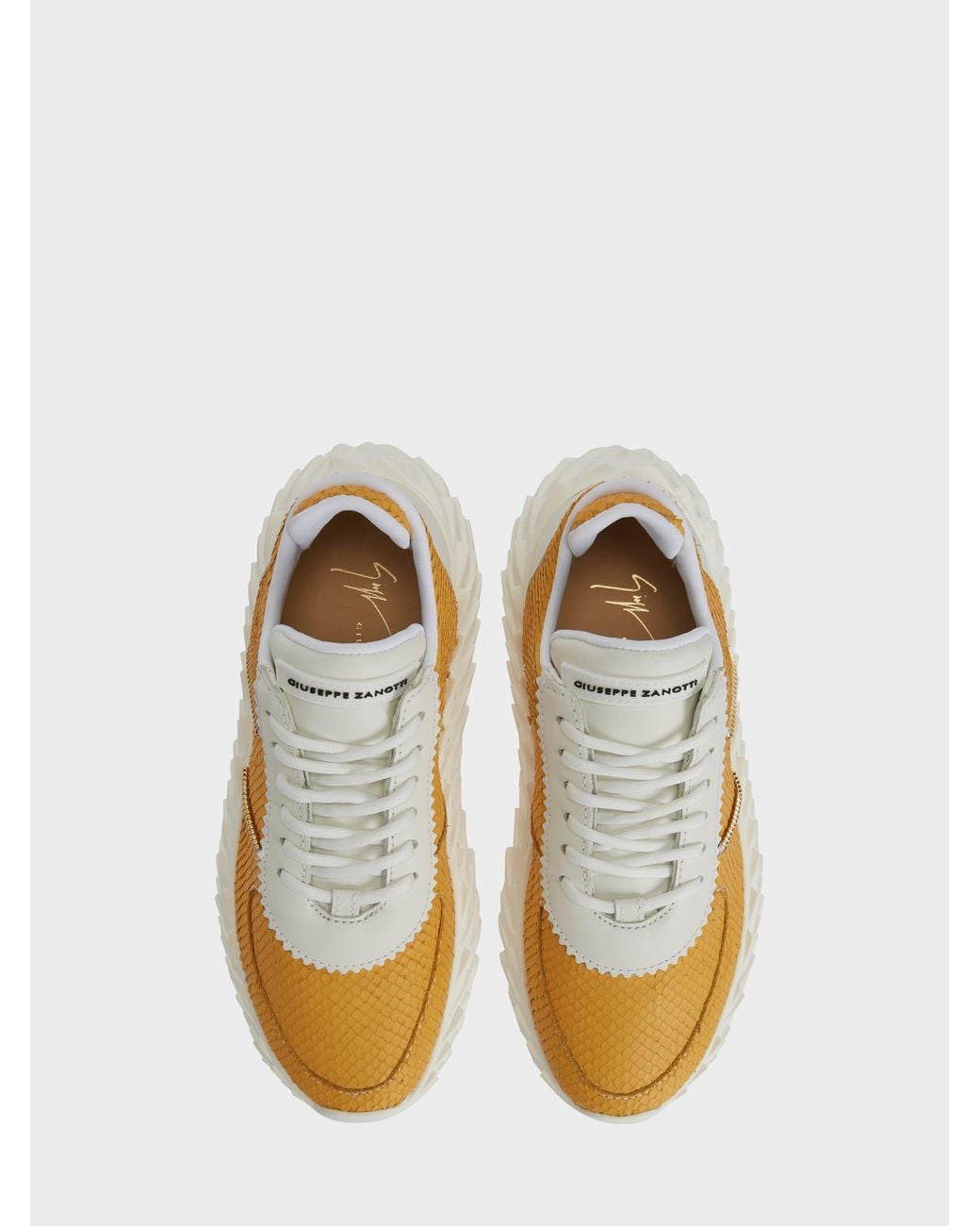 Giuseppe Zanotti Orange Urchin Low Top