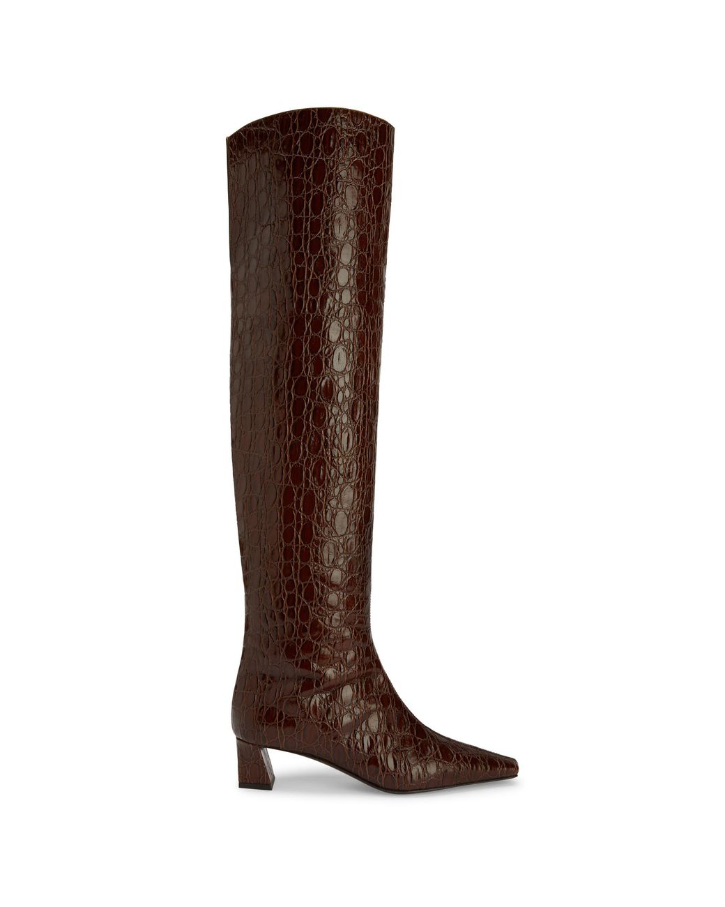 Giuseppe Zanotti Brown Janiee Plus 45