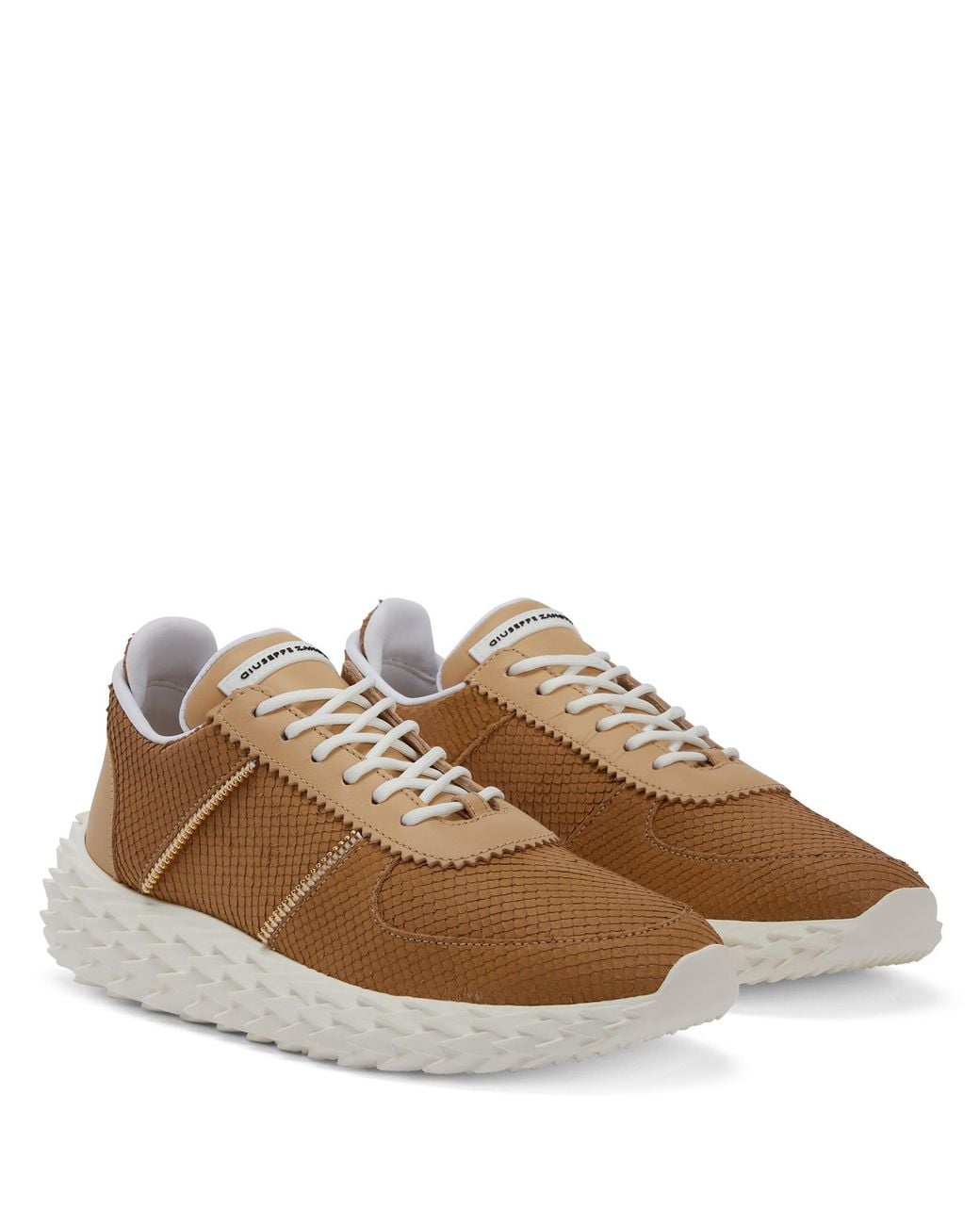 Giuseppe Zanotti Brown Urchin for men