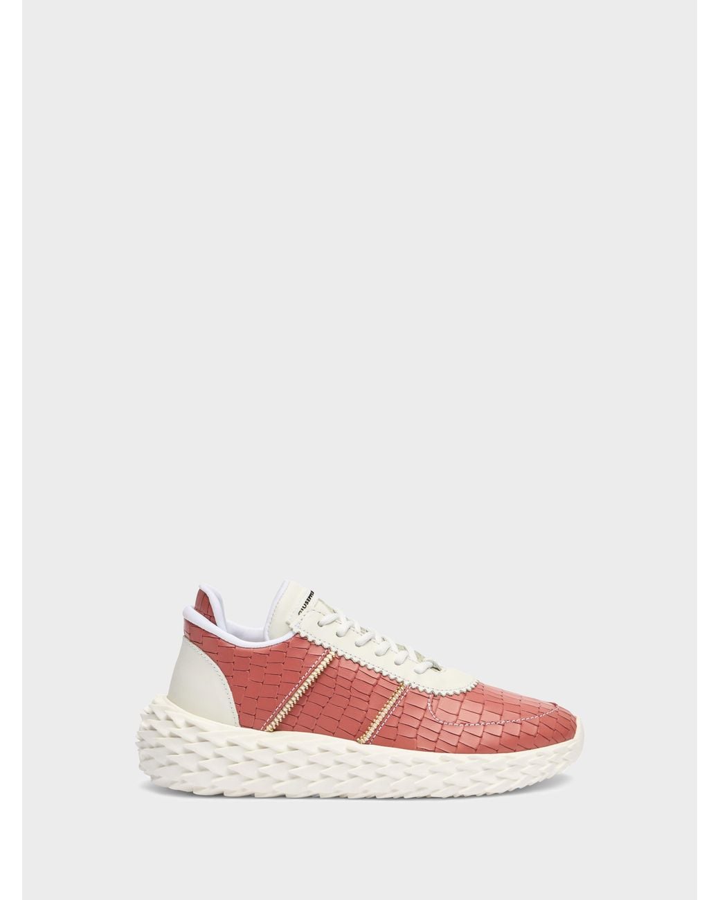 Giuseppe Zanotti Pink Urchin Low Top