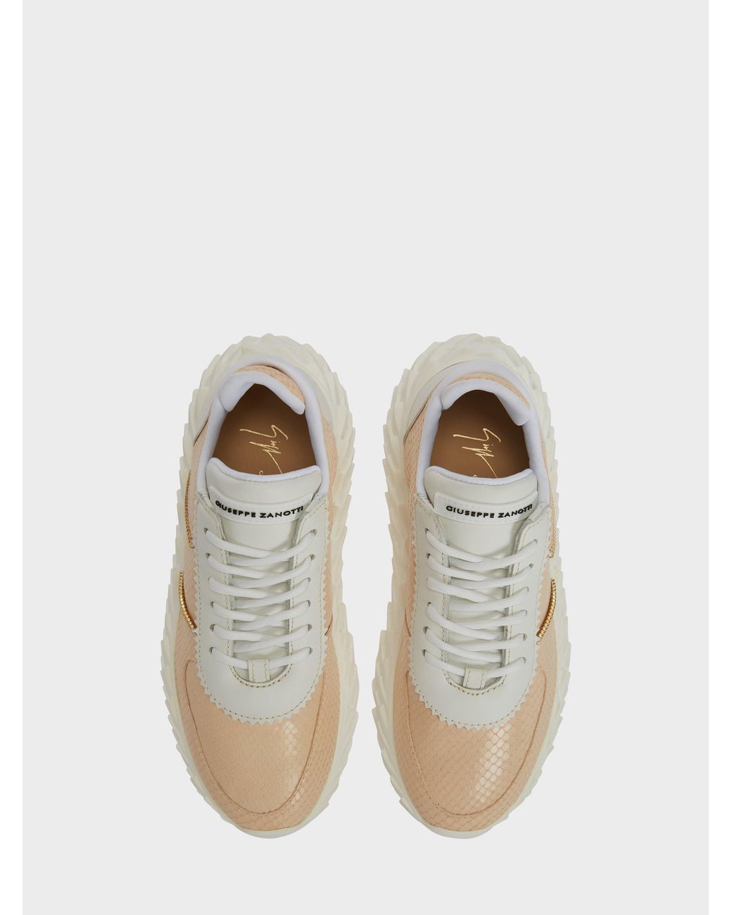 Giuseppe Zanotti Natural Urchin