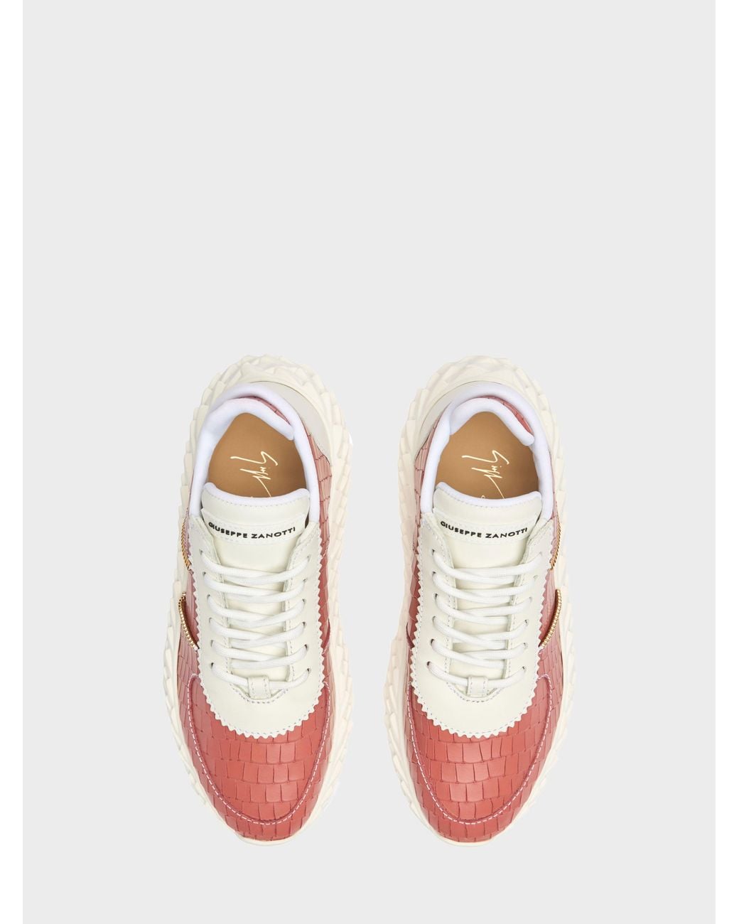 Giuseppe Zanotti Pink Urchin Low Top