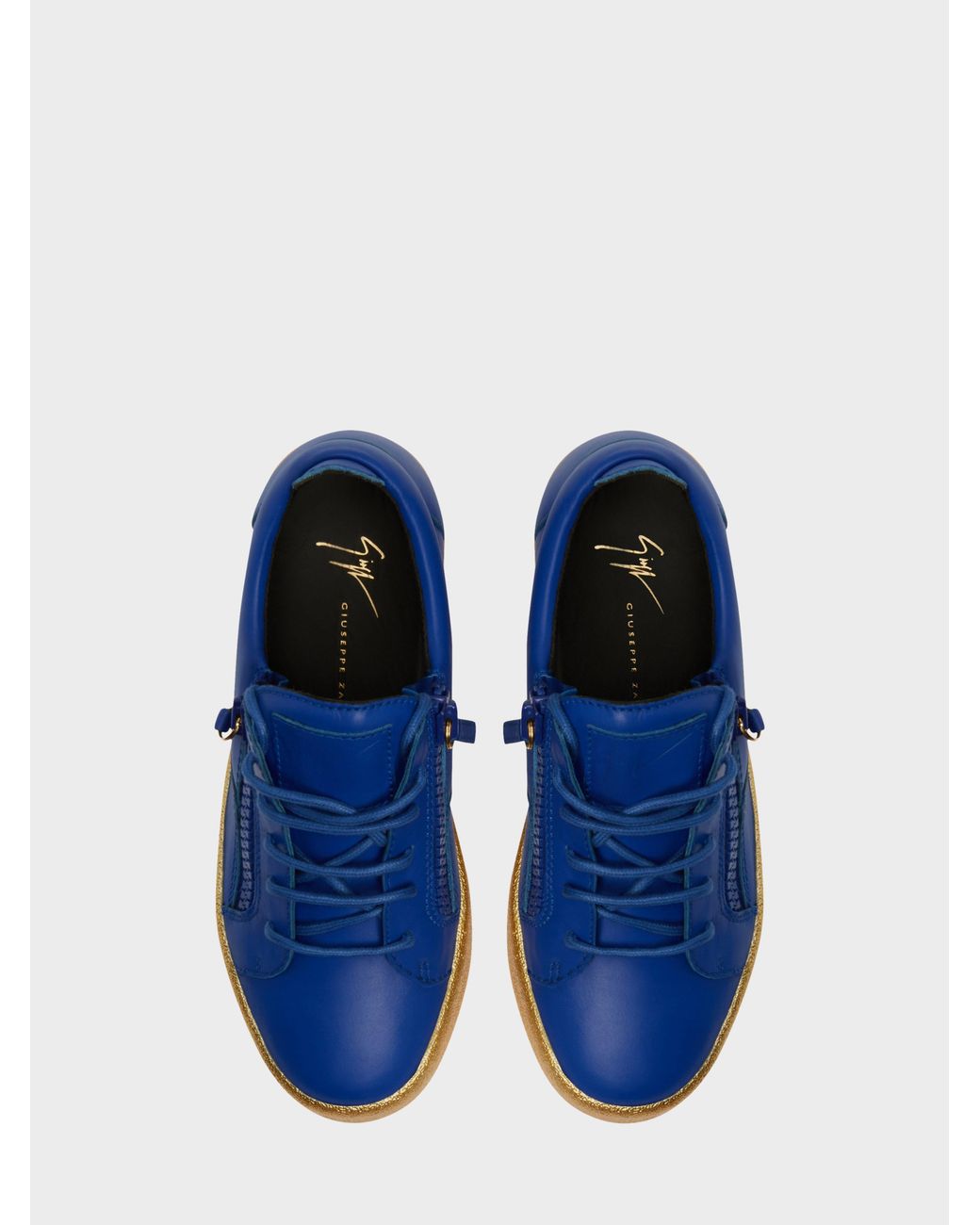 Giuseppe Zanotti Blue Gail Sneakers