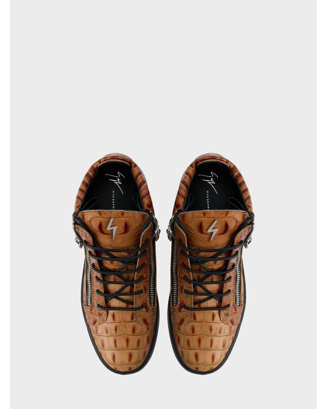 Giuseppe Zanotti Brown Kriss for men