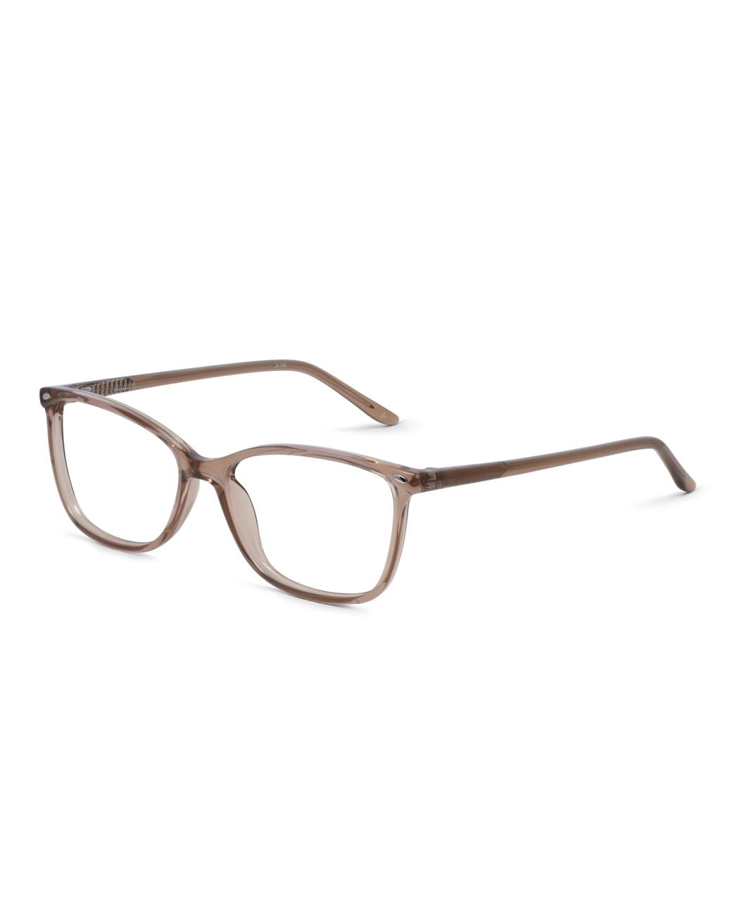 Amelia E. Black Nettle