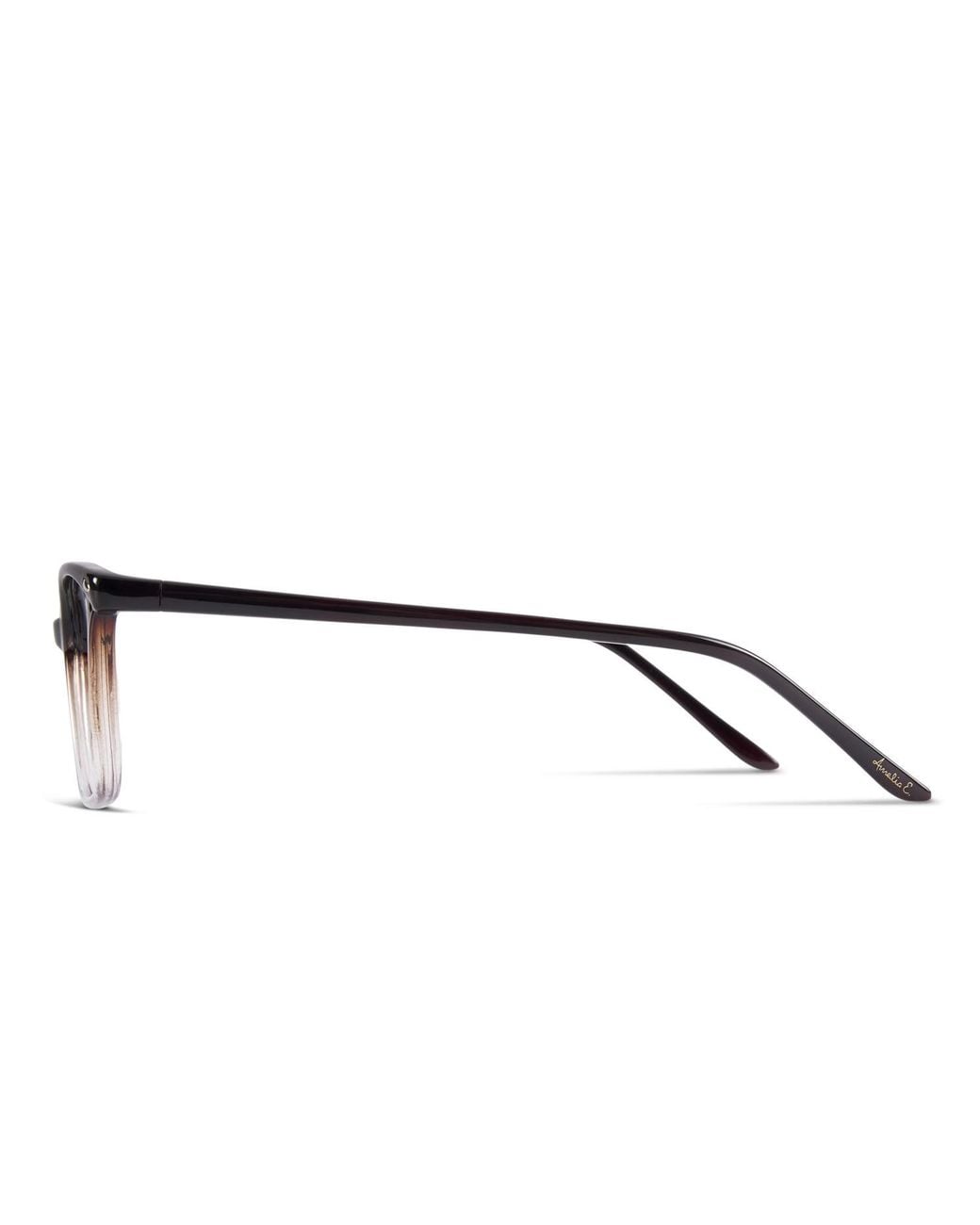 Amelia E. Black Nettle