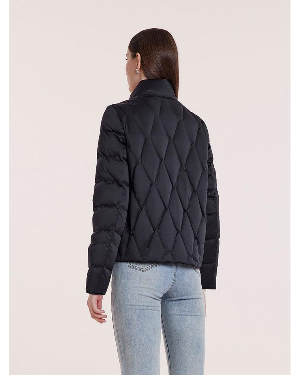 GOELIA Blue Stand Collar Goose Down Jacket