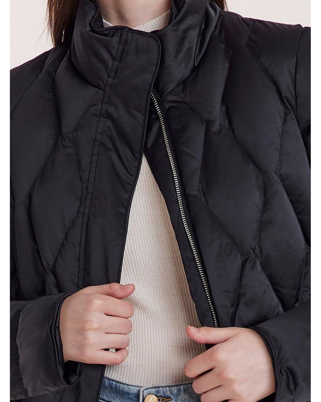 GOELIA Blue Stand Collar Goose Down Jacket