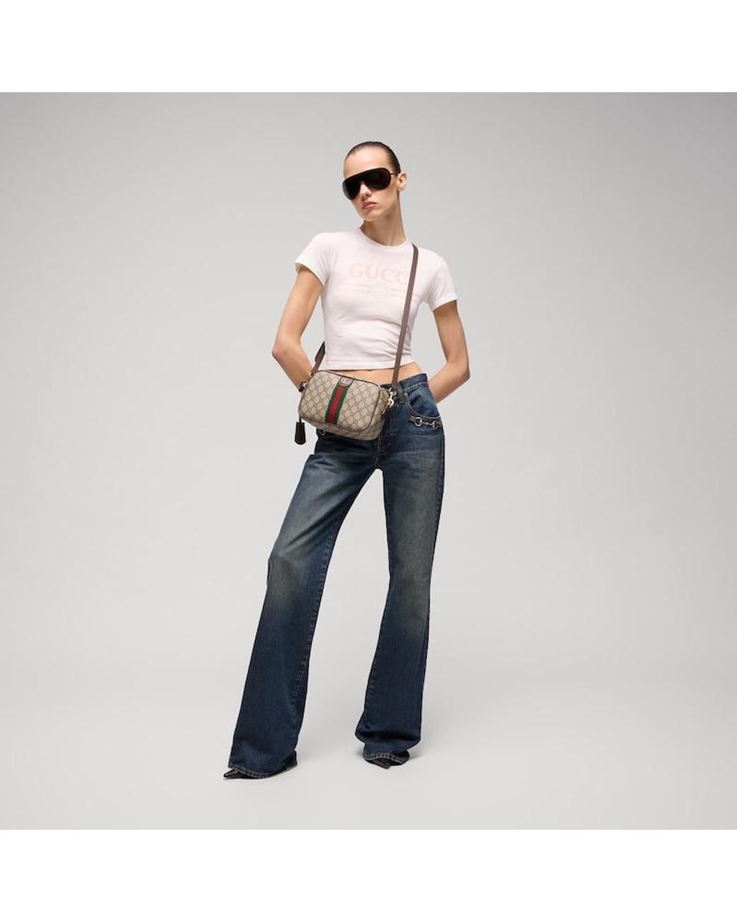 Gucci Brown Ophidia Small Camera Bag, Gg Canvas