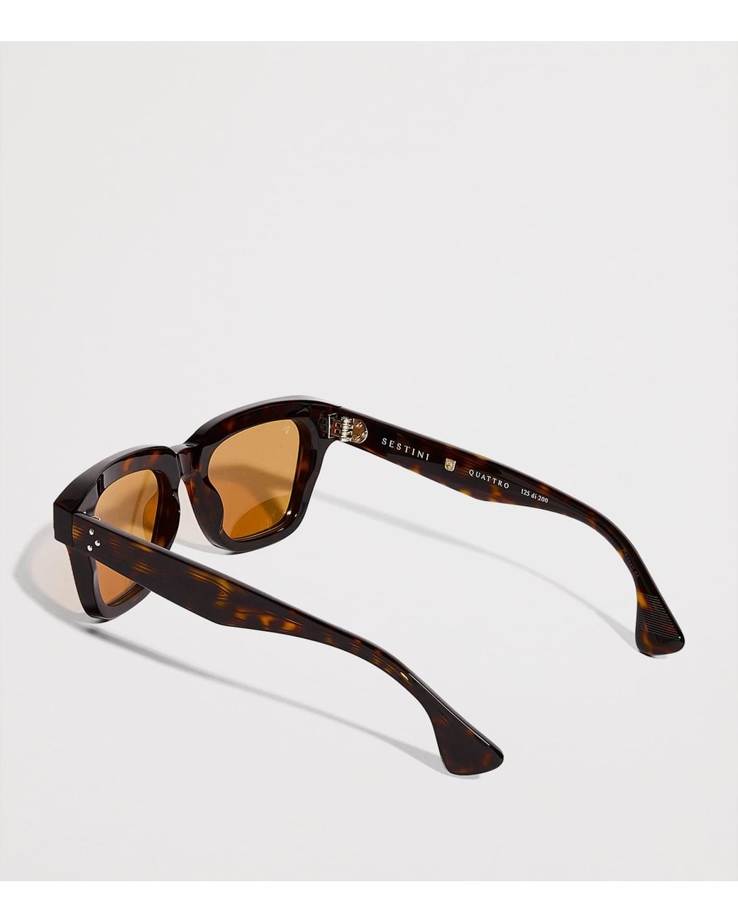 Sestini Eyewear Brown Acetate Quattro Sunglasses for men