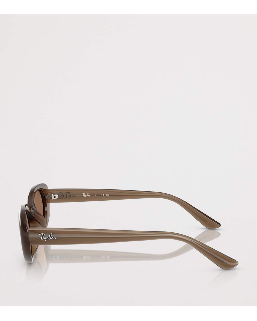 Ray-Ban Brown Injected Oval Sunglasses