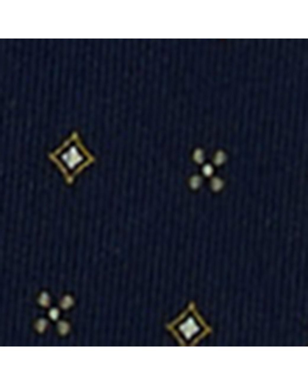 Dunhill Blue Silk Printed Tie for men