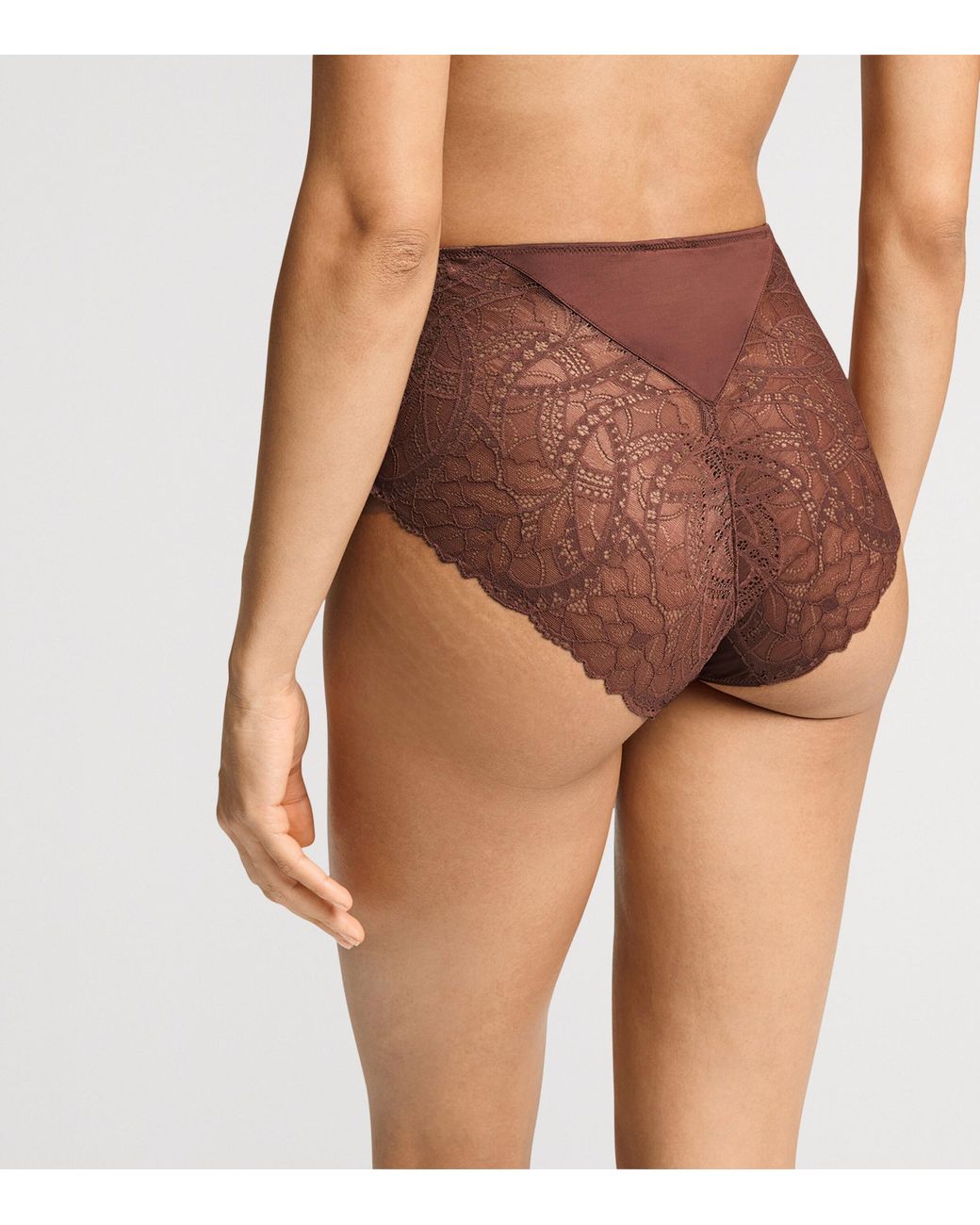 Hanro Brown Azelia Maxi Briefs