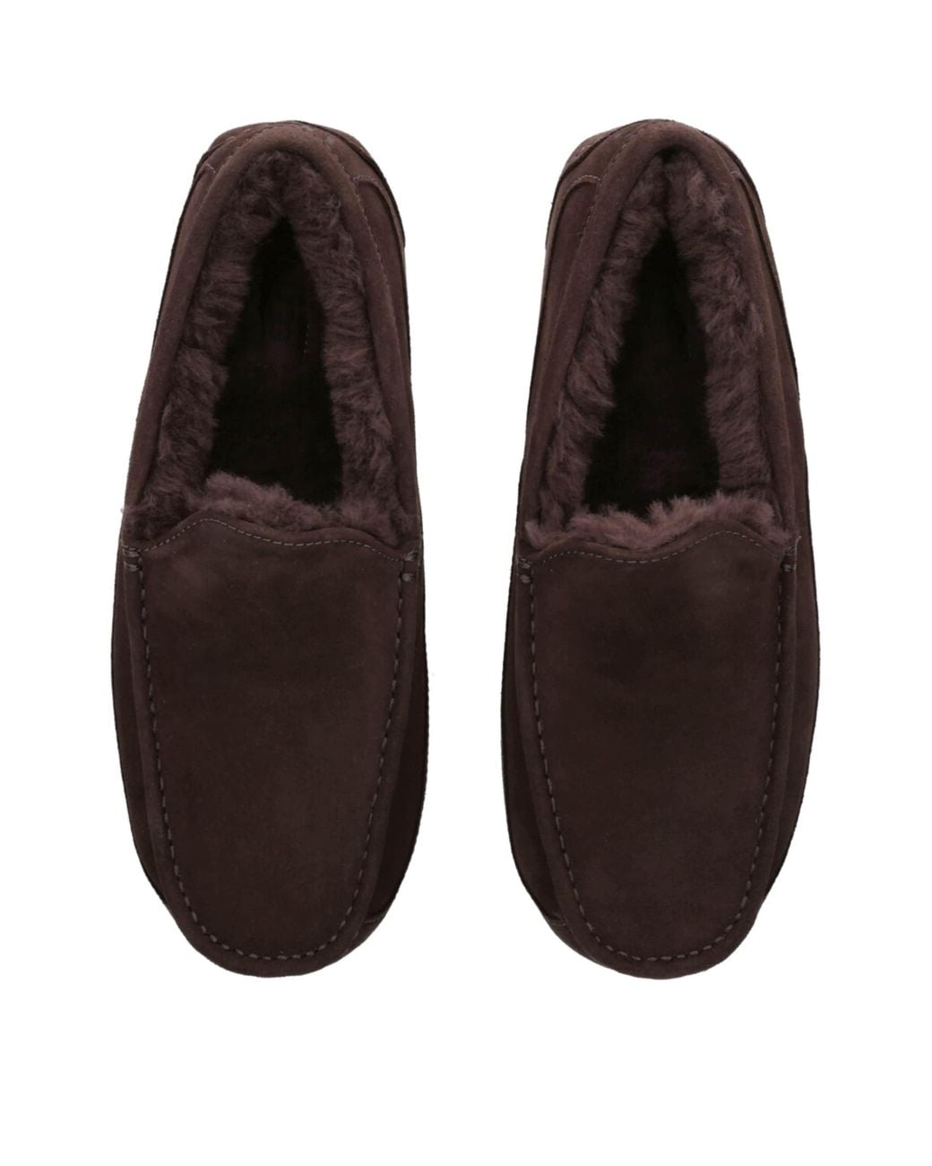 Ugg Brown Ascot Slipper for men