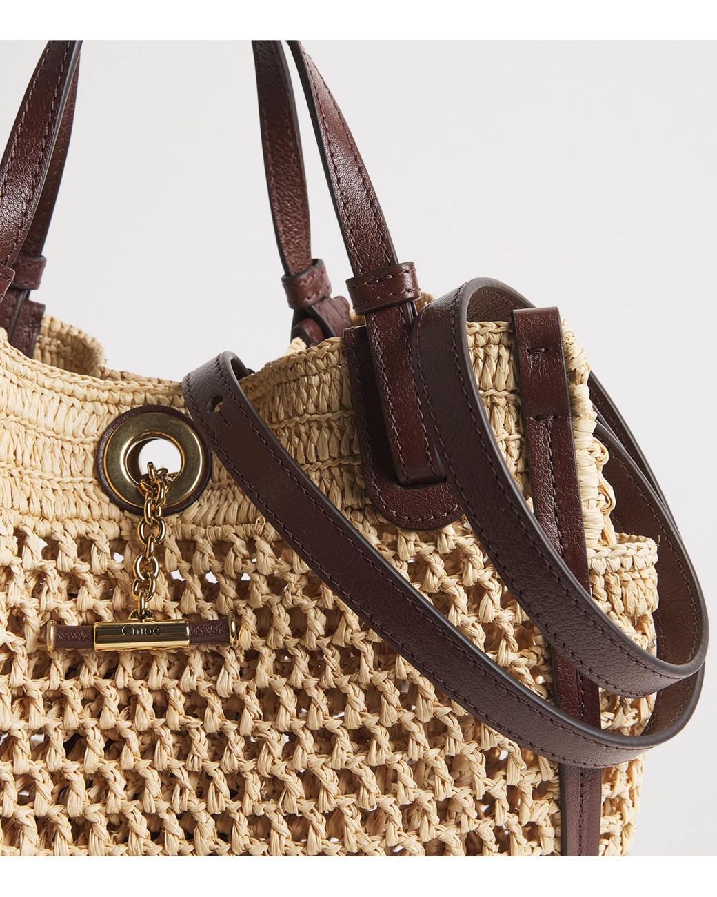 Chloé Metallic Small Raffia Iconic Double Carry Bag