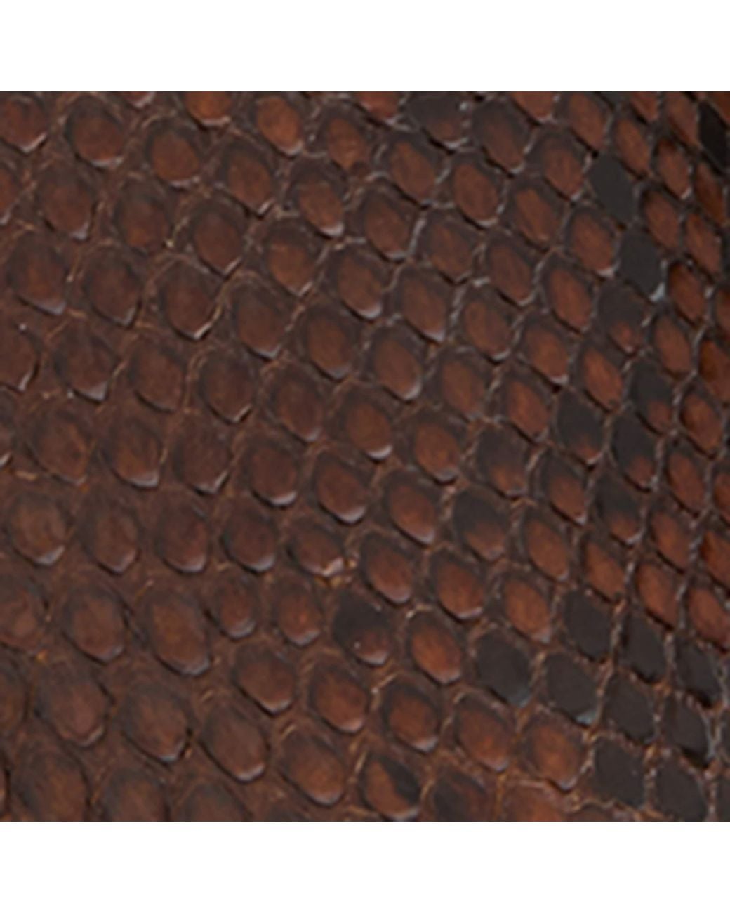 Saint Laurent Brown Snakeskin Francoise Ankle Boots 95