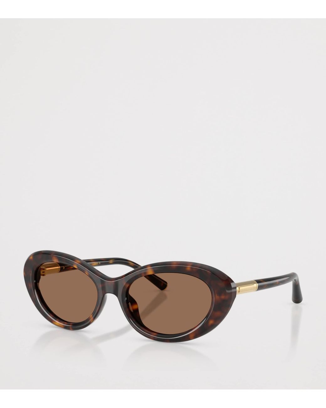 Dolce & Gabbana Brown Acetate Dg4519 Marlene Sunglasses