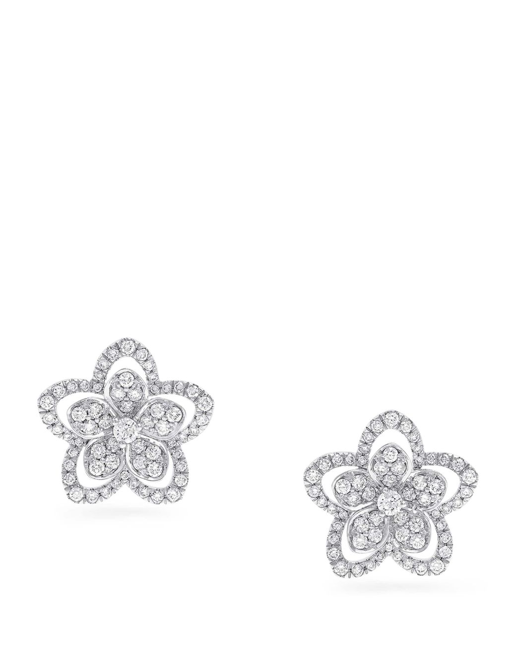 Graff White Gold And Diamond Wild Flower Earrings
