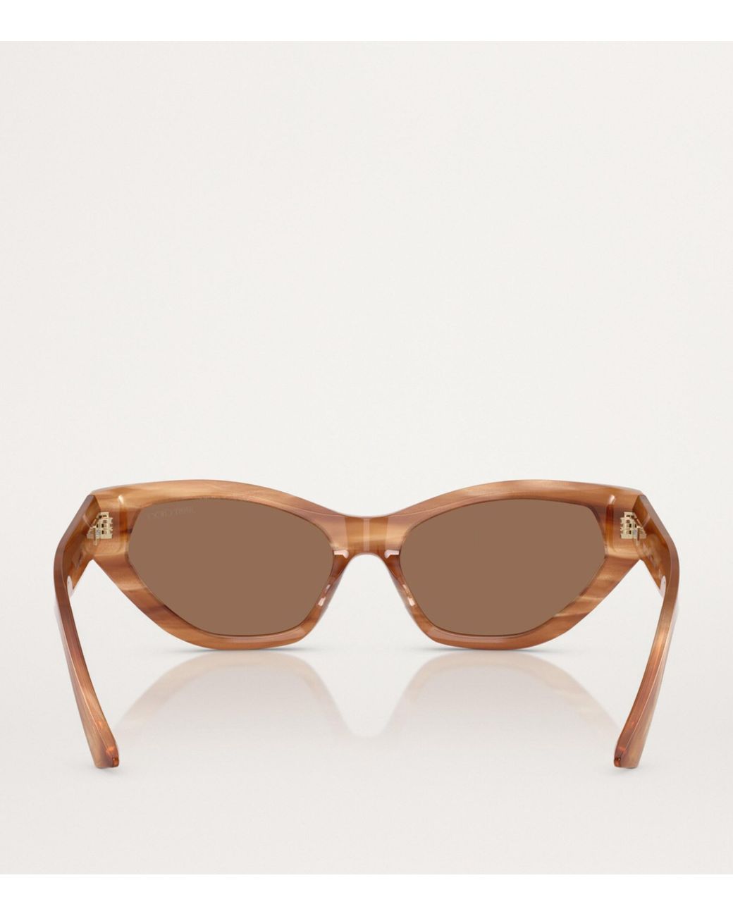 Jimmy Choo Brown Acetate Jc5022B Sunglasses