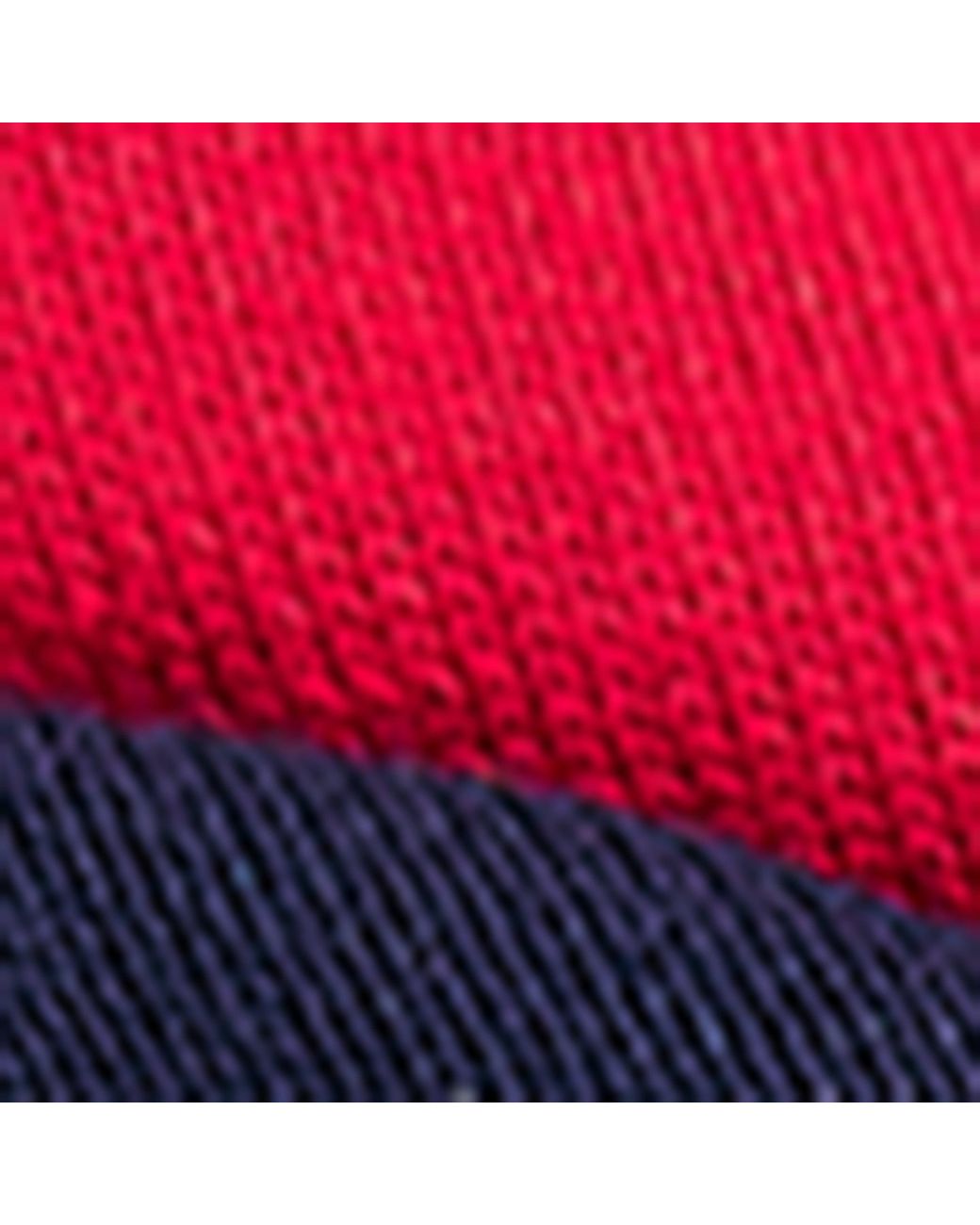Polo Ralph Lauren Blue Polo Bear And Stripe Socks for men