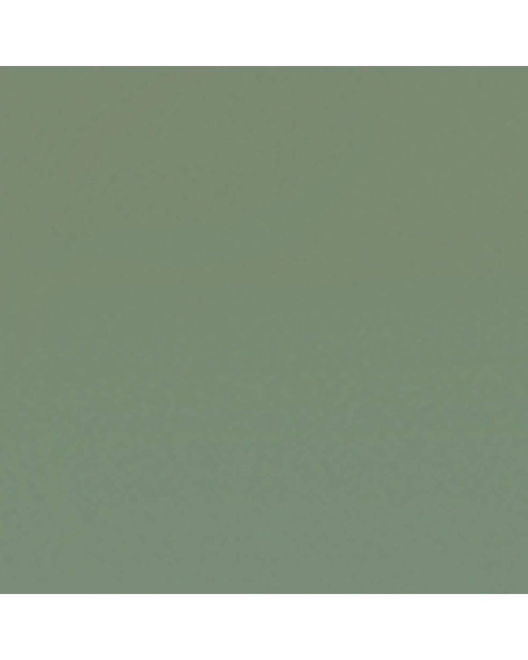 Céline Green Rectangular Sunglasses