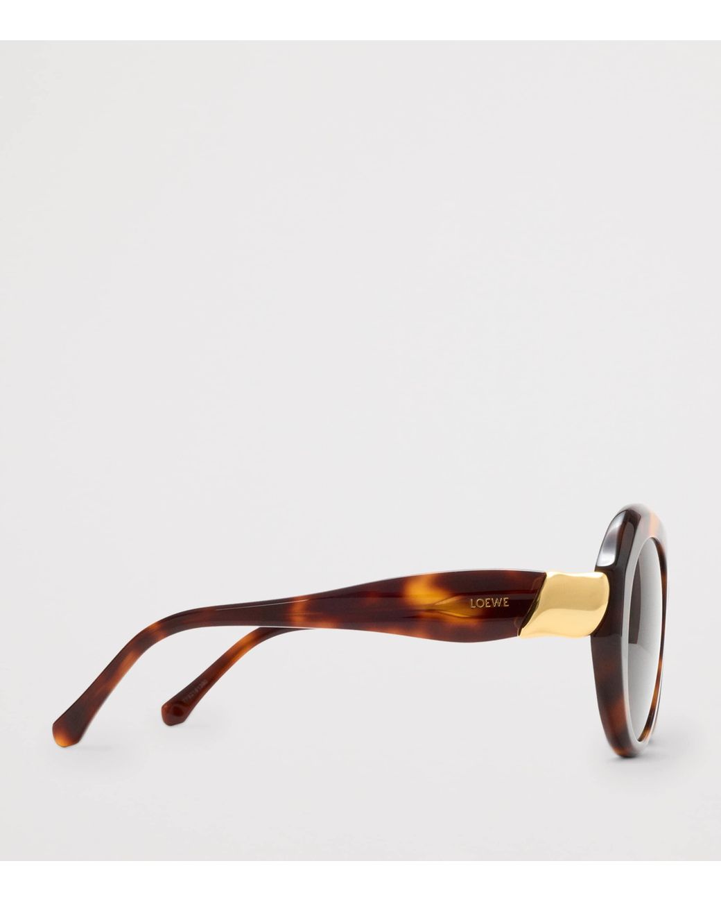 Loewe Brown Coil Butterfly Sunglasses