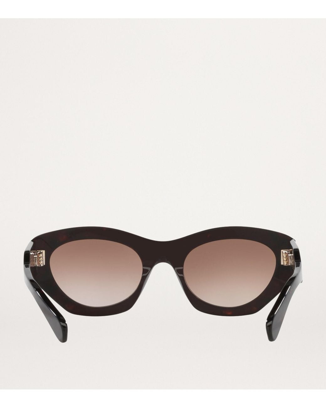 Chloé Brown Acetate Ch0220S Sunglasses