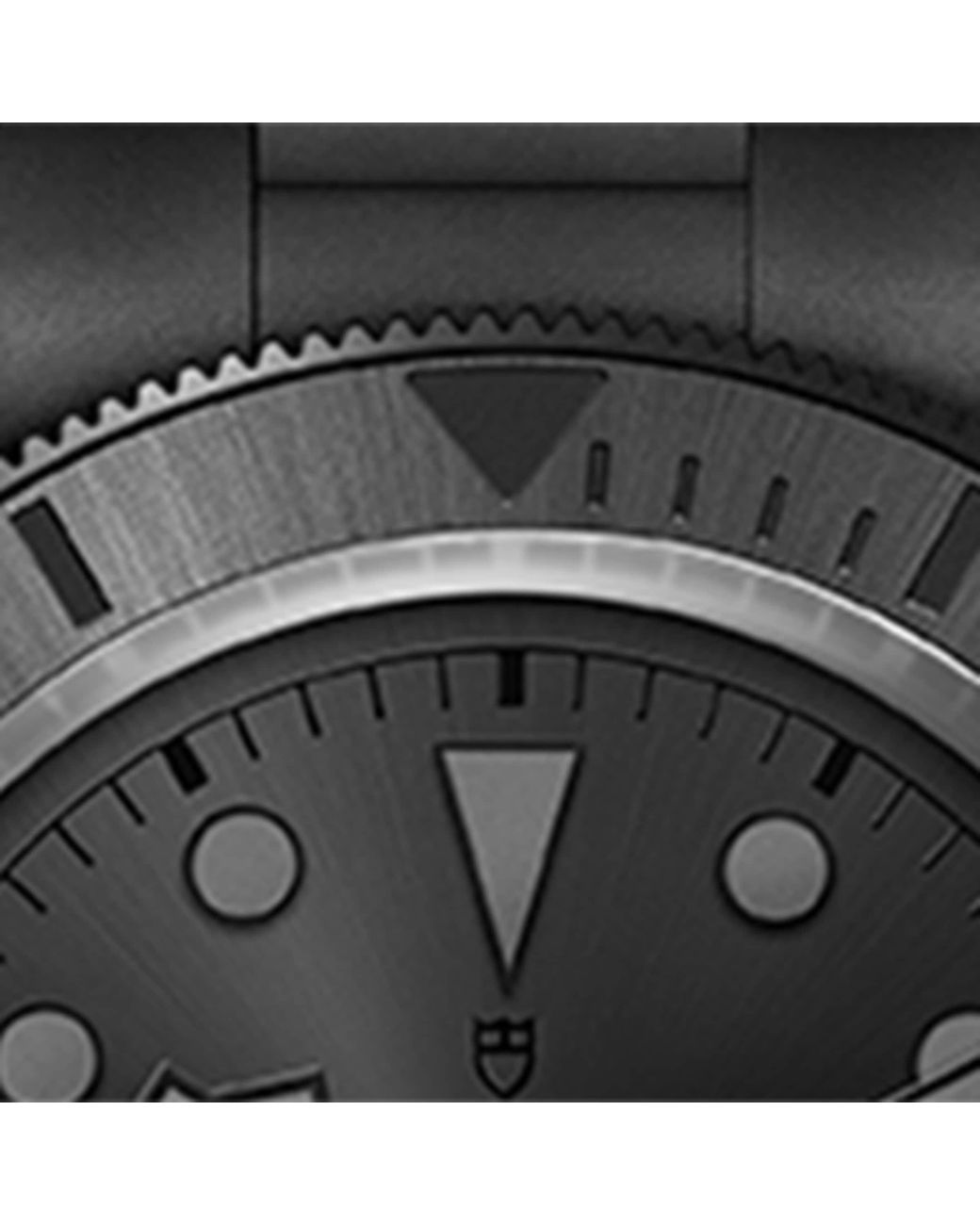 Tudor Black Bay Ceramic Watch