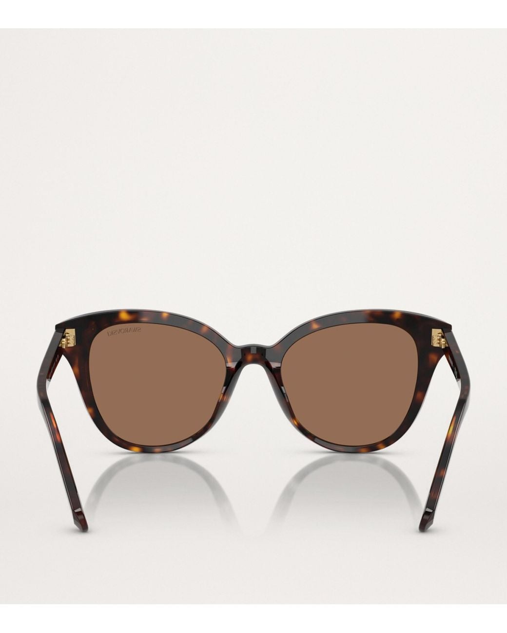 Swarovski Brown Acetate Sk6031 Sunglasses