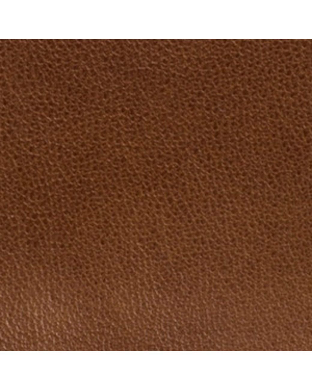 Miu Miu Brown Nappa Leather Embossed Card Holder