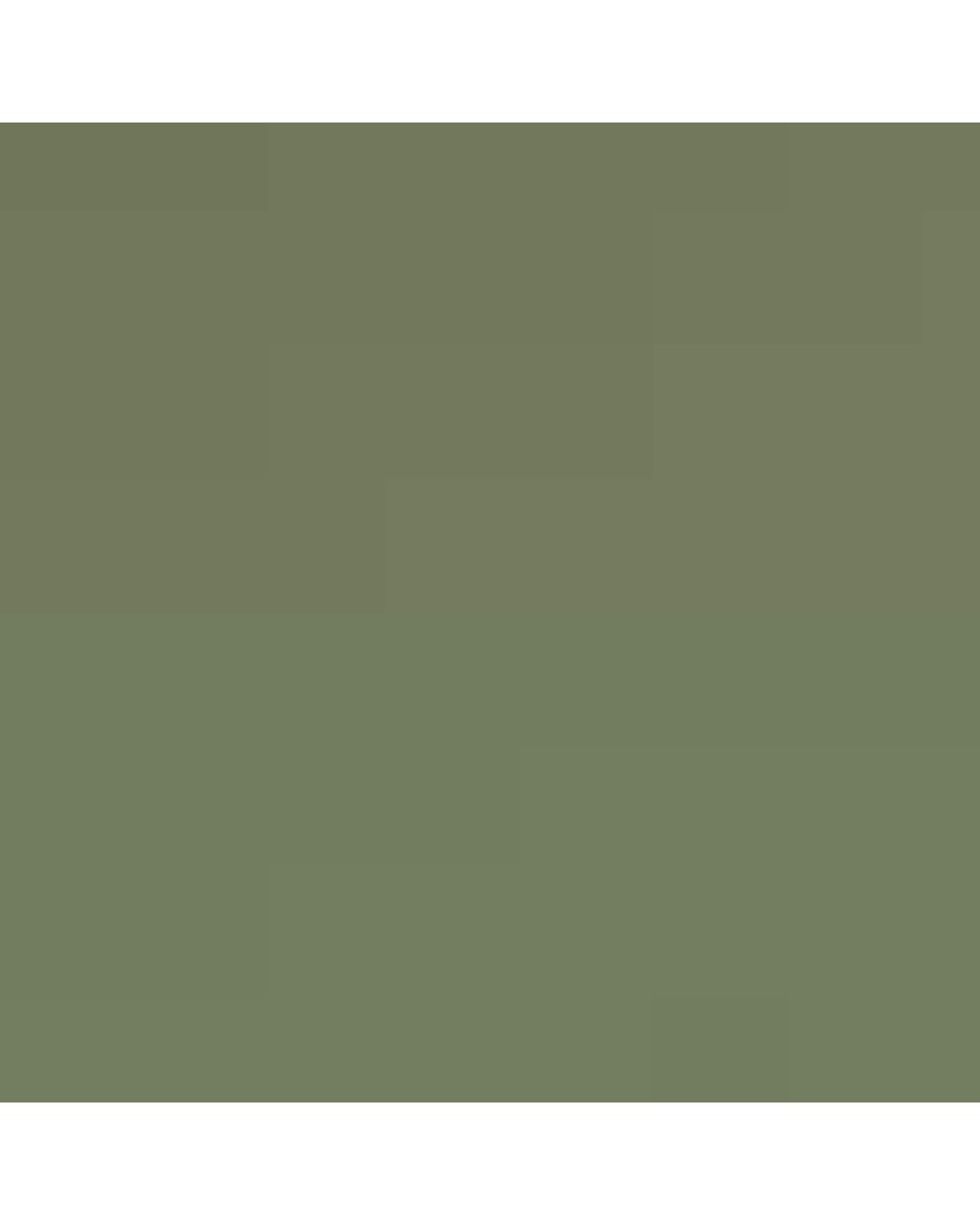Cartier Green Rectangular Sunglasses for men