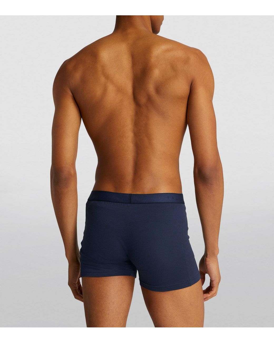 Falke Blue Egyptian Cotton Boxer Briefs for men