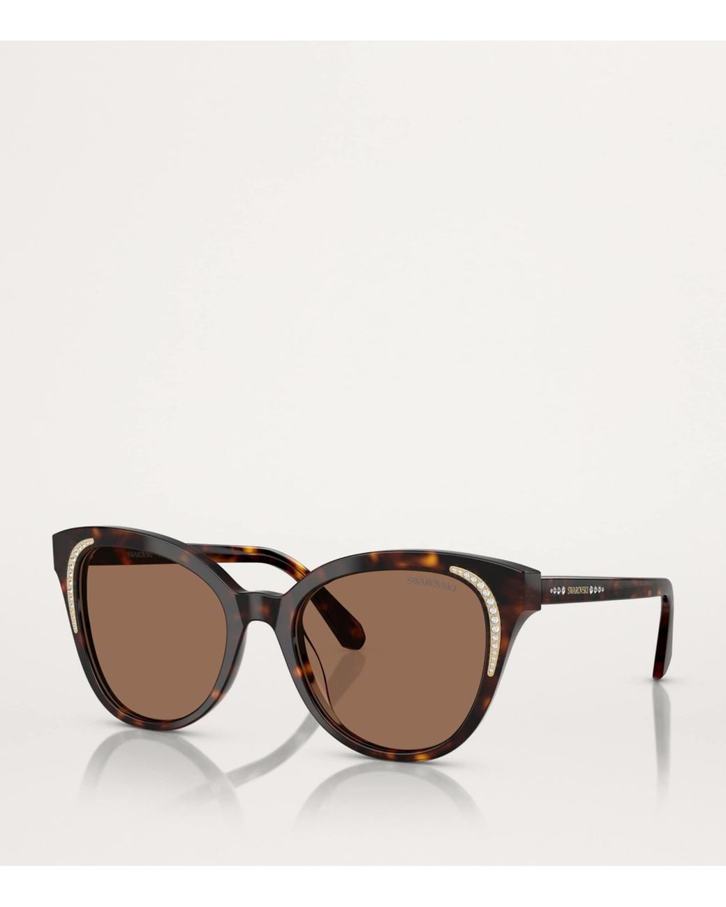 Swarovski Brown Acetate Sk6031 Sunglasses