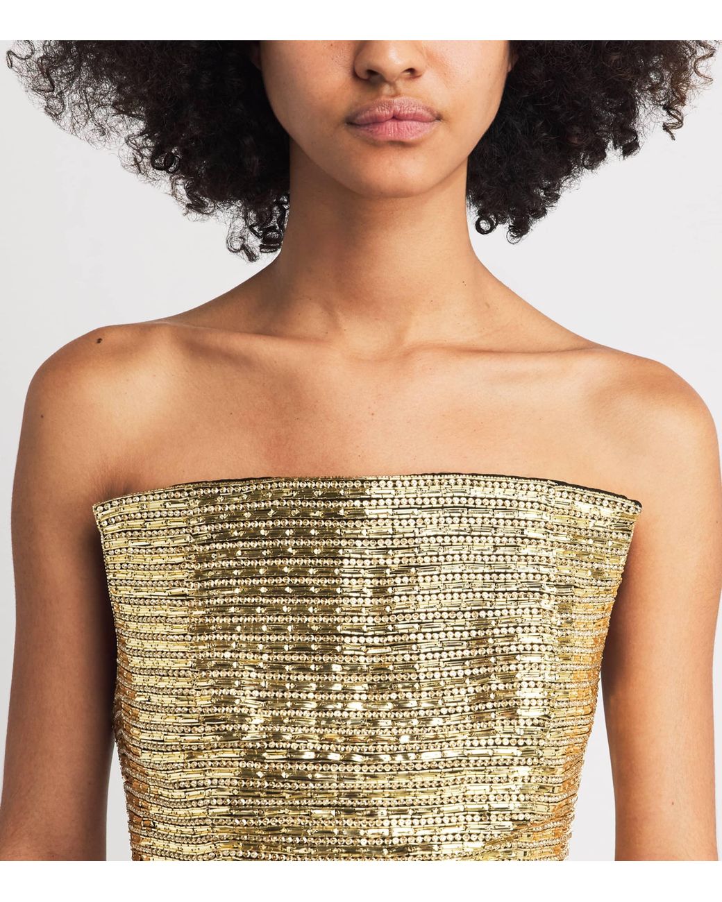 Carolina Herrera Metallic Silk Embellished Strapless Midi Dress