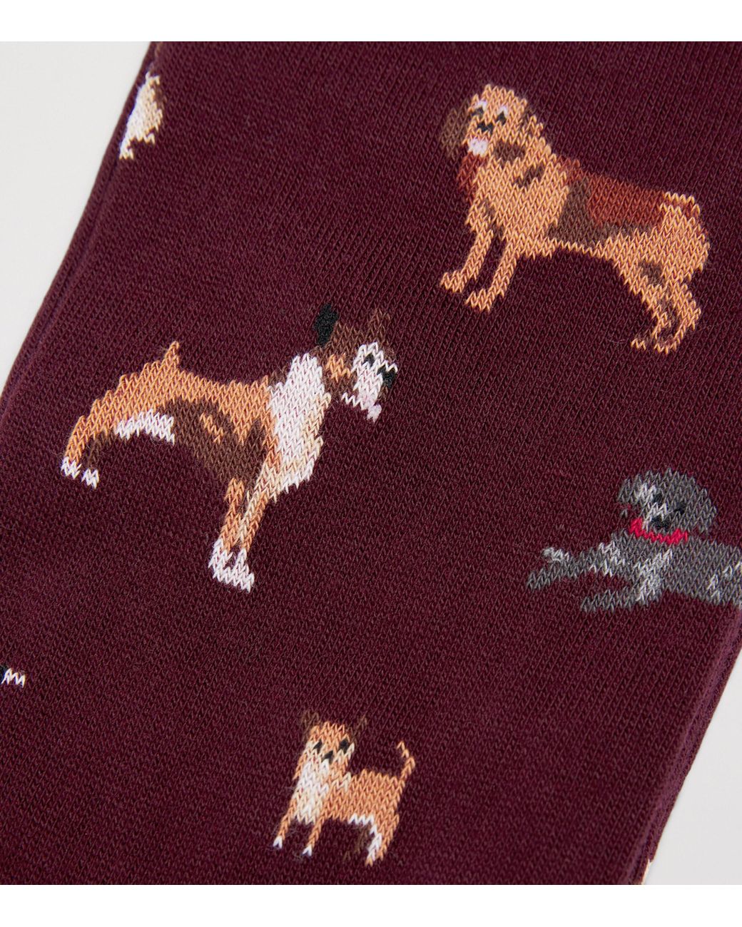 Corgi Red Jacquard Dog Socks for men