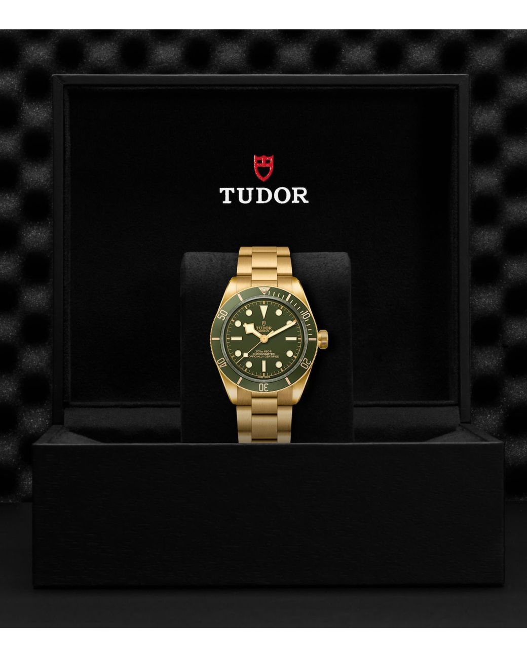 Tudor Metallic Bay Watch for men
