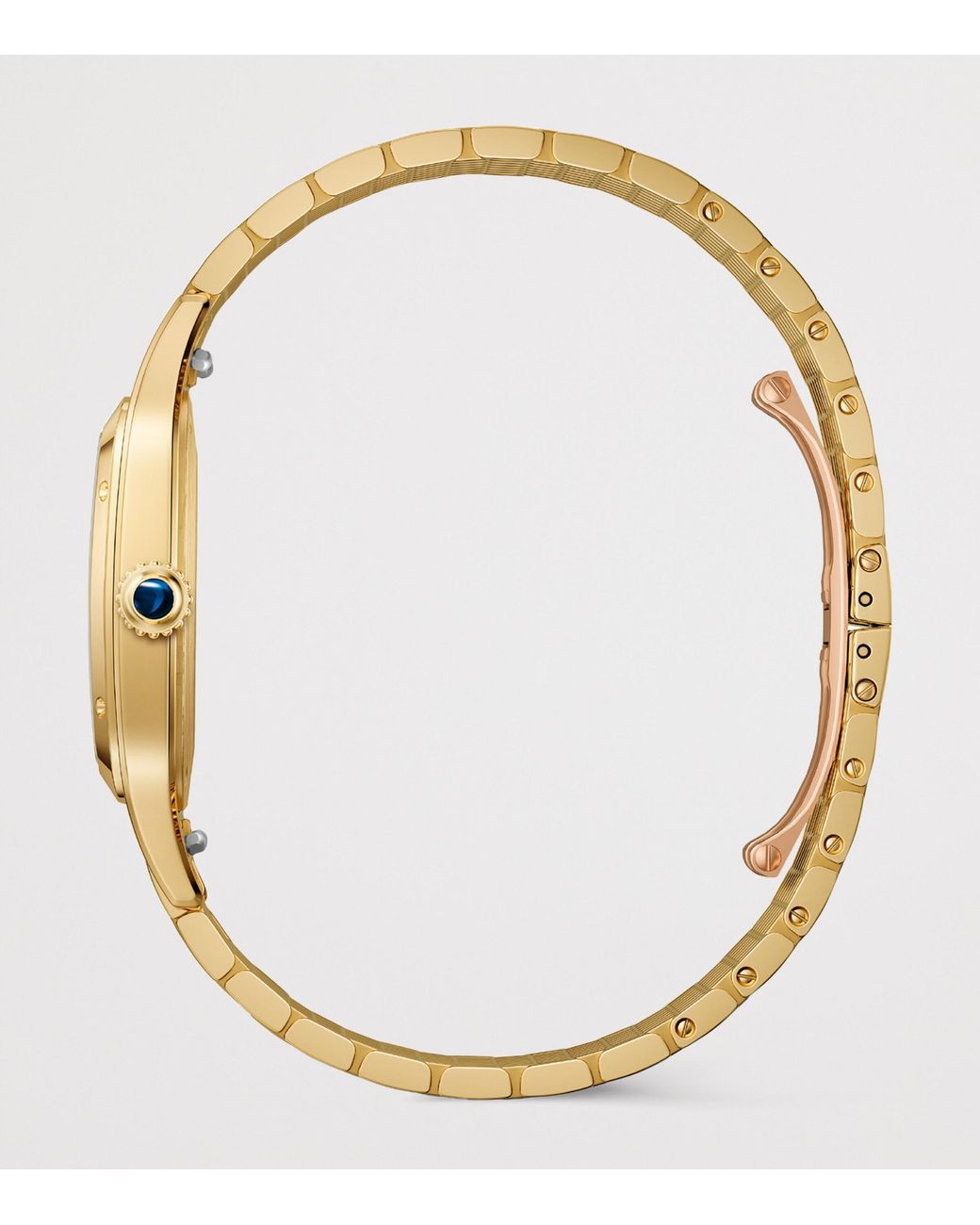 Cartier Metallic Large Santos-Dumont Watch