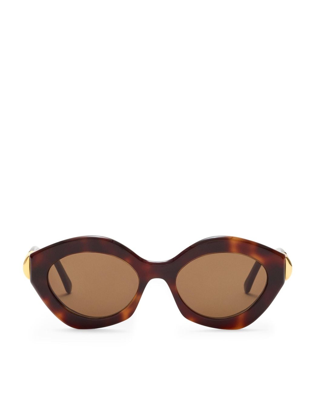 Loewe Brown Acetate Coil Cat Eye Sunglasses