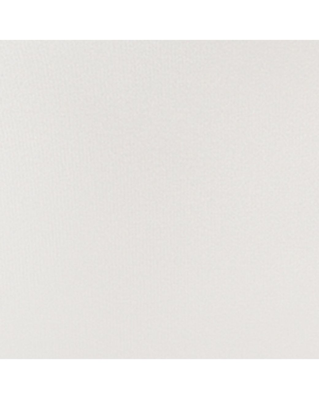 Spanx White Satin Shaping Briefs
