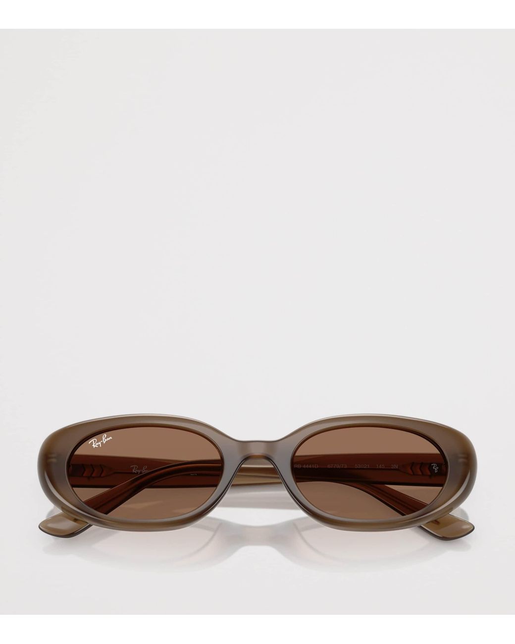 Ray-Ban Brown Injected Oval Sunglasses