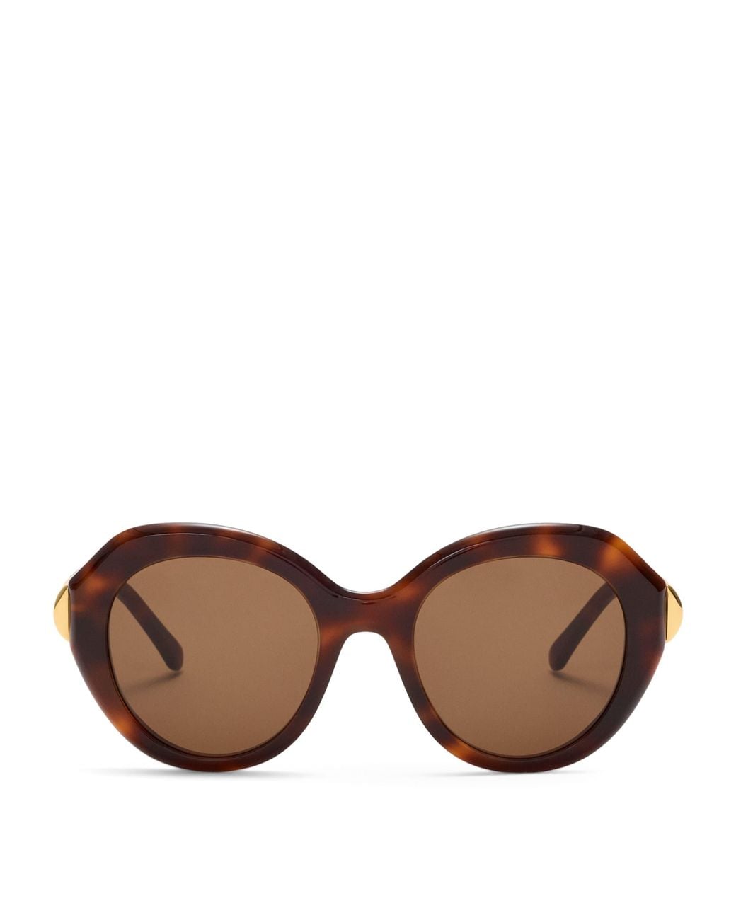 Loewe Brown Coil Butterfly Sunglasses