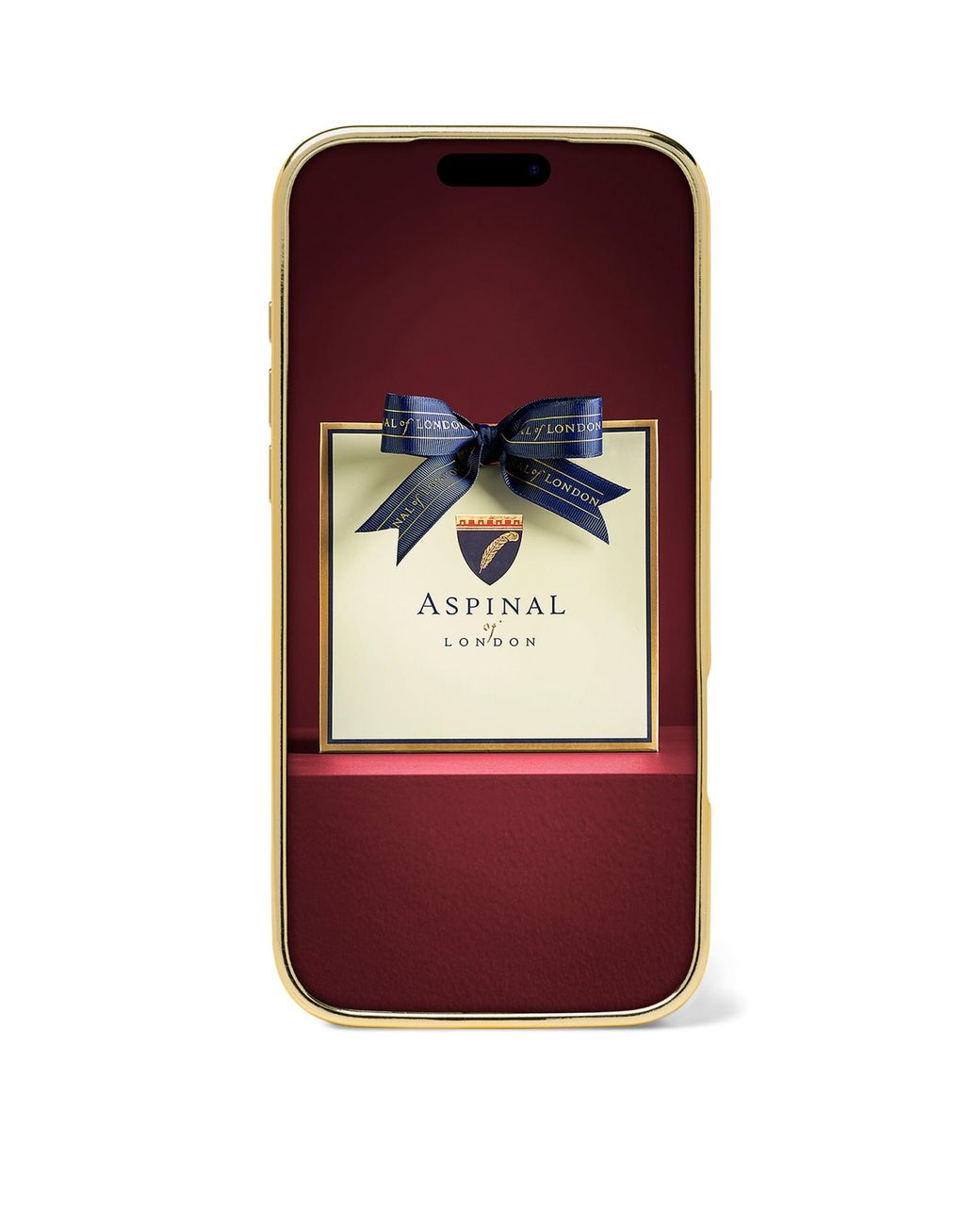 Aspinal Brown Leather Iphone 17 Pro Case