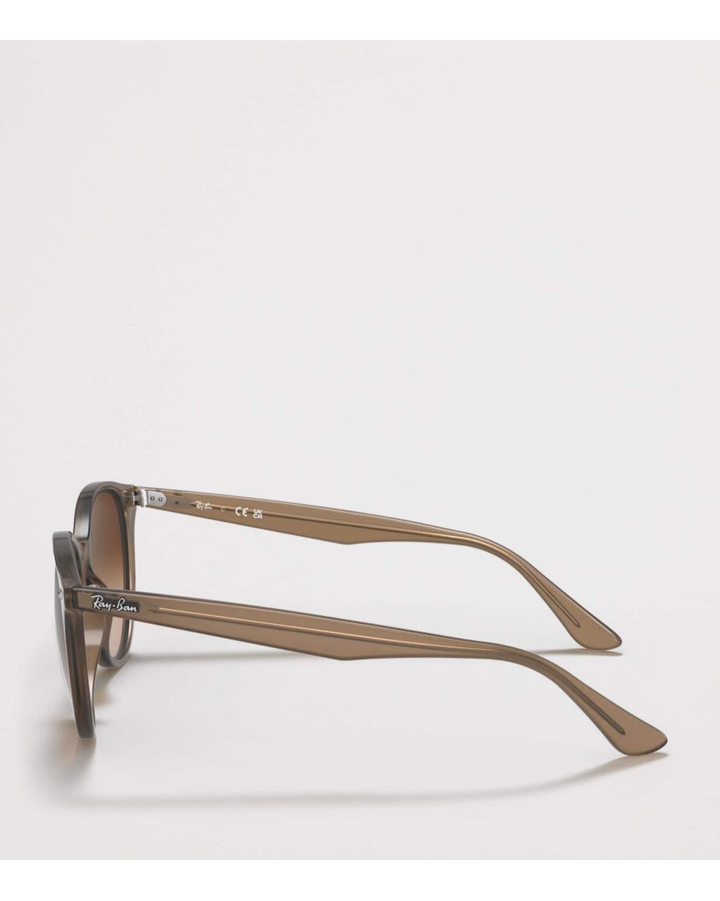 Ray-Ban Brown Acetate Phantos Round Sunglasses