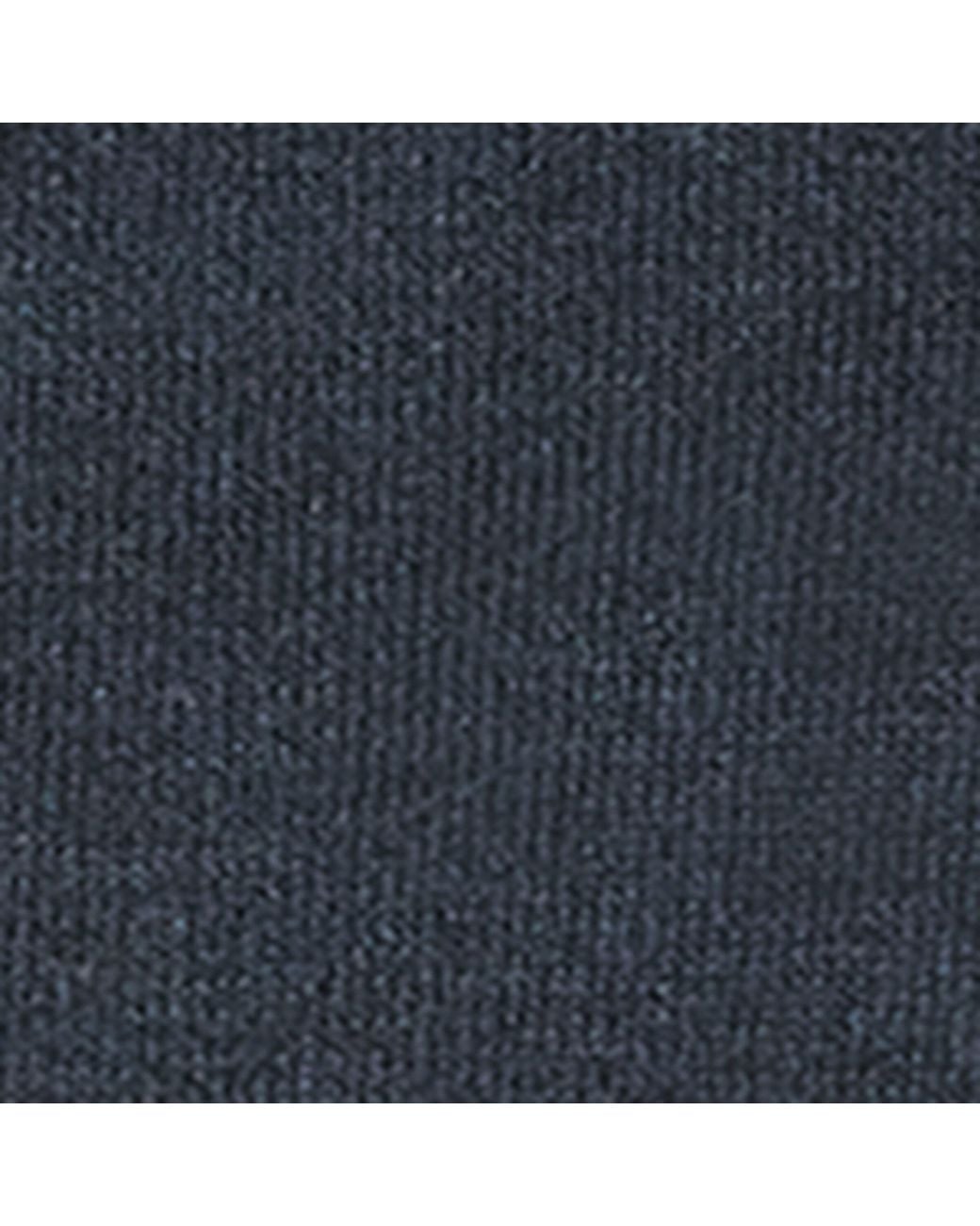 Falke Blue Family Socks for men